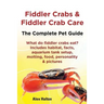 Fiddler Crabs & Fiddler Crab Care. Complete Pet Guide. What Do Fiddler Crabs Eat? Includes Habitat, Facts, Aquarium Tank Setup, Molting, Food, Persona