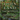 Listen to the Land: Creating a Southern Woodland Garden