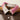bdd20dc2-38f7-4155-9513-38620ad1d3e5-Max