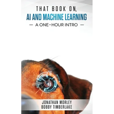 That Book on AI and Machine Learning: A One-Hour Intro
