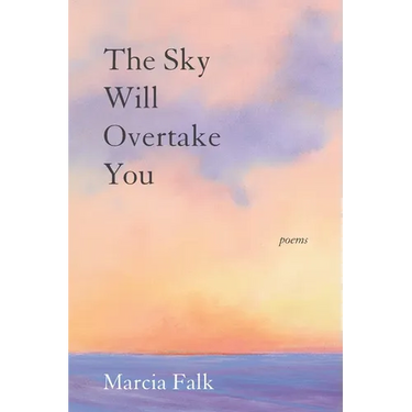 The Sky Will Overtake You: Poems