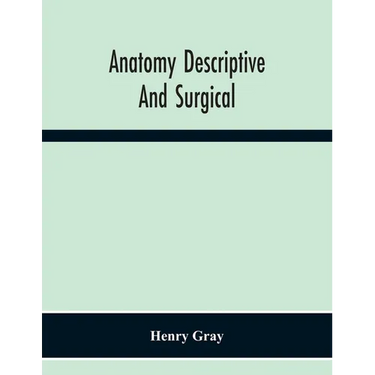 Anatomy Descriptive And Surgical