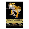 The Leopard Gecko: How to care for your Leopard Gecko and everything you need to know to keep them well.