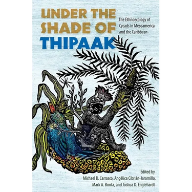Under the Shade of Thipaak: The Ethnoecology of Cycads in Mesoamerica and the Caribbean