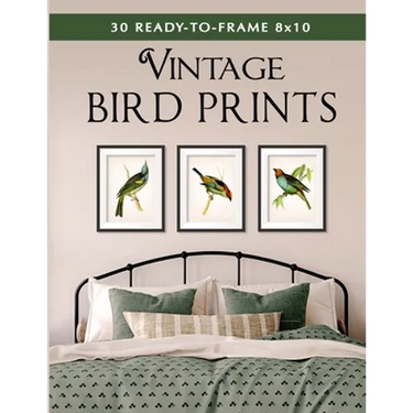 30 Ready-to-Frame 8x10 Vintage Bird Prints