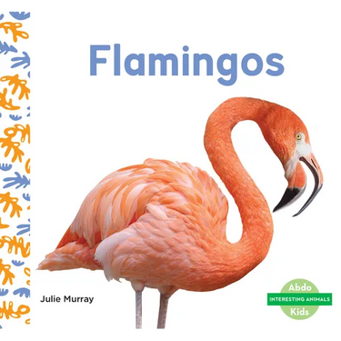 Flamingos