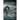 The Essential Guide to the Loch Ness Monster & Other Aquatic Cryptids