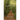 Beyond the Dirt Road