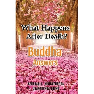 What Happens After Death-Buddha Answers