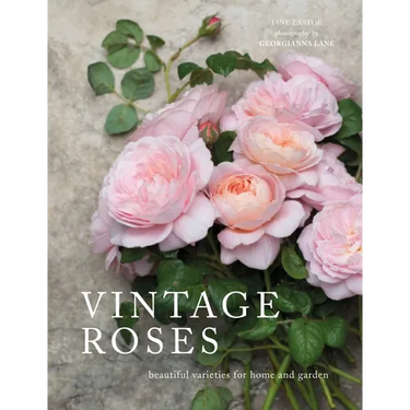 Vintage Roses: Beautiful Varieties for Home and Garden