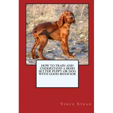 How to Train and Raise a Irish Setter Puppy or Dog with Good Behavior