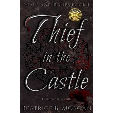 Thief in the Castle