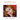 Madonna: An Intimate Biography