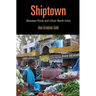 Shiptown: Between Rural and Urban North India