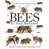 The Bees in Your Backyard: A Guide to North America's Bees