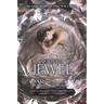The Jewel