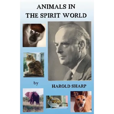 Animals in the Spirit World