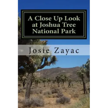 A Close Up Look at Joshua Tree National Park