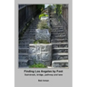 Finding Los Angeles By Foot: Stairstreet, bridge, pathway and lane