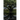 The Upside-Down Tree