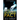The Murder Pact