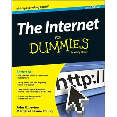 The Internet for Dummies
