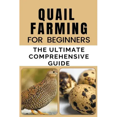 Quail Farming For Beginners: The Ultimate Comprehensive Guide