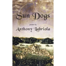 Sun Dogs
