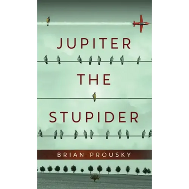 Jupiter the Stupider