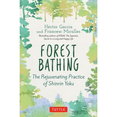 Forest Bathing: The Rejuvenating Practice of Shinrin Yoku