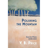 Polishing the Mountain, or Catching Balance Just in Time: Selected Poems 2008-2020