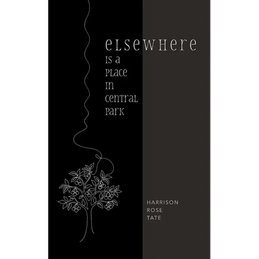Elsewhere is a Place in Central Park