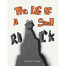The Life of a Small Rock