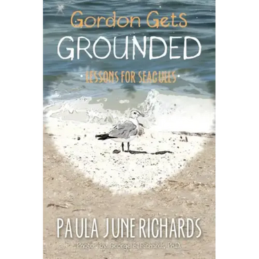 Gordon Gets Grounded: Lessons For Seagulls