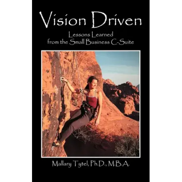Vision Driven: Lessons Learned from the Small Business Isuite