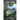 Nomad Moon