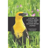 A Guide to Finding Birds Along the Illinois River Flyway