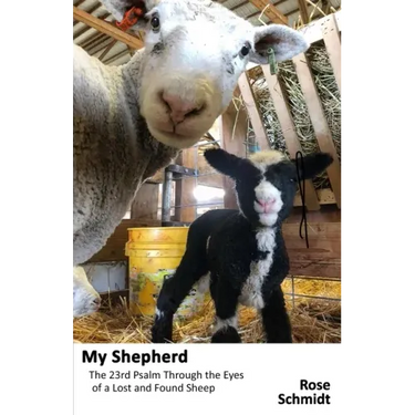 My Shepherd: The 23rd Psalm Through the Eyes of a Lost-&-Found Sheep