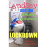 Lyndsey and the Drunk Cleaner in Lockdown: Inspired by experience