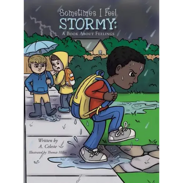 Sometimes I Feel Stormy: A Book About Feelings