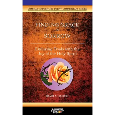 Finding Grace in Sorrow: Enduring Trials with the Joy of the Holy Spirit