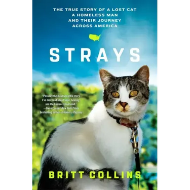 Strays: The True Story of a Lost Cat, a Homeless Man, and Their Journey Across America