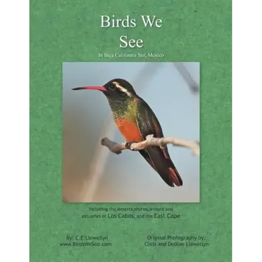 Birds We See