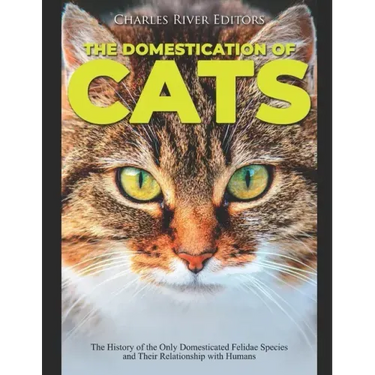 The Domestication of Cats: The History of the Only Domesticated Felidae Species and Their Relationship with Humans
