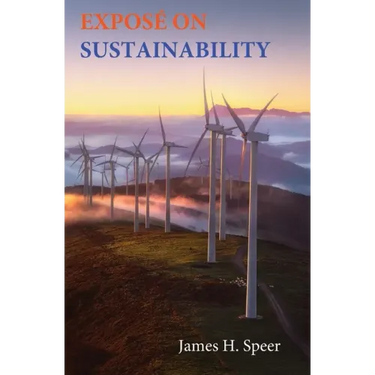 Exposé on Sustainability