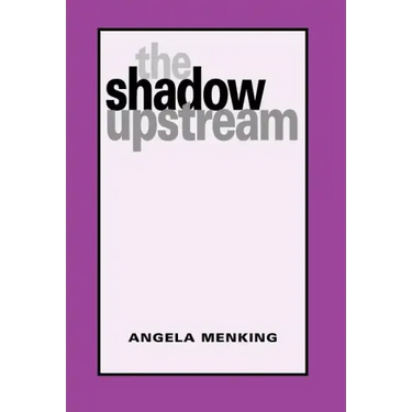 The Shadow Upstream