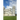Pisa in One Day