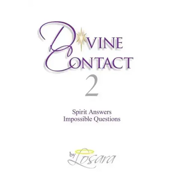 Divine Contact 2: Spirit Answers Impossible Questions