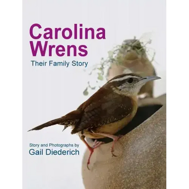 Carolina Wrens: Their Family Story