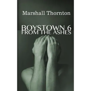 Boystown 6: From The Ashes